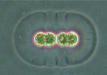 Screen Shot 2013-10-18 at 8.11.42 PM