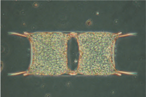 Screen Shot 2013-10-18 at 8.11.25 PM