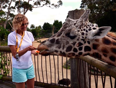 Wellness, Yoga and Mindfulness with&nbsp;Lekshe